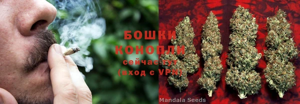 MDMA Premium VHQ Новозыбков