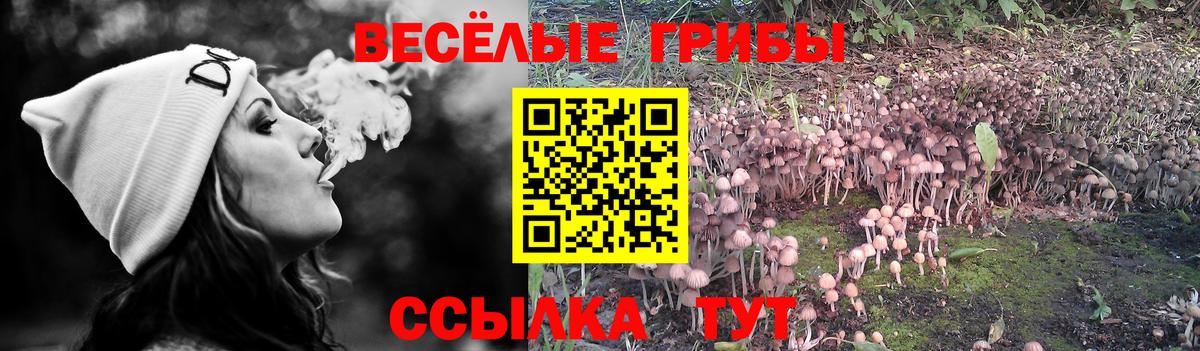 Великий Устюг  Галлюциногенные грибы ЛСД  где можно купить   Вход с VPN  Галлюциногенные грибы Psilocybine cubensis 
