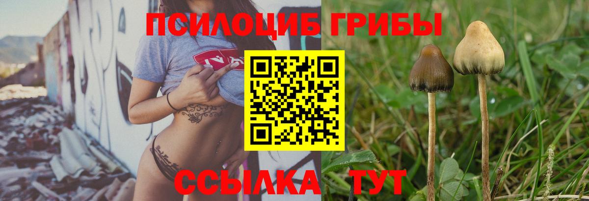 Галлюциногенные грибы мухоморы  Великий Устюг 